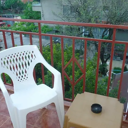 Matev 부르가스